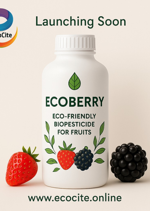 EcoBerry