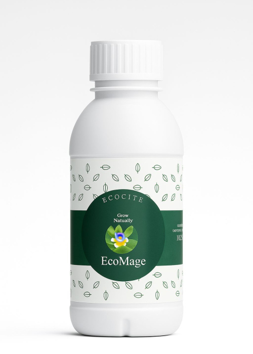 EcoMagic